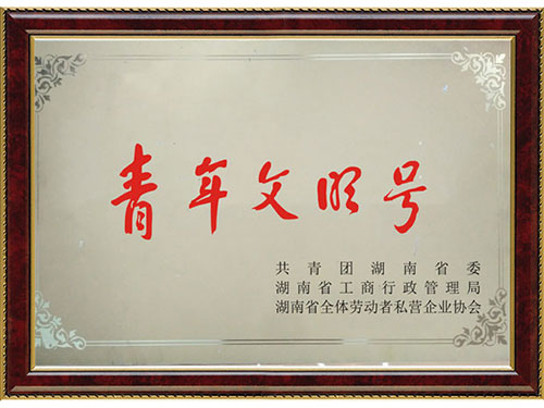 青年文明號(hào) 青年文明號(hào)