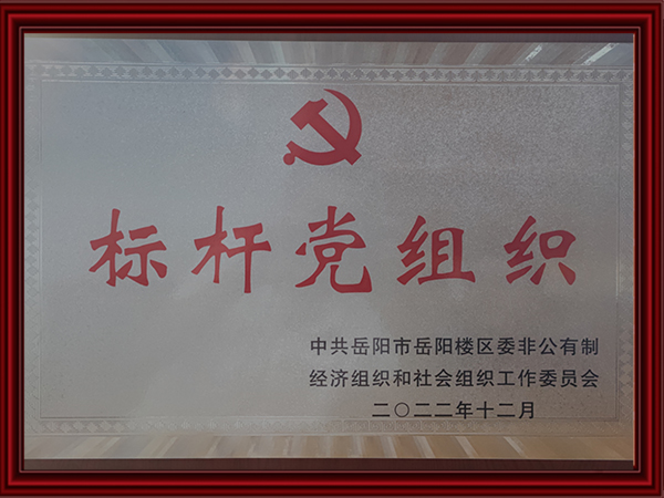 標(biāo)桿黨組織 標(biāo)桿黨組織